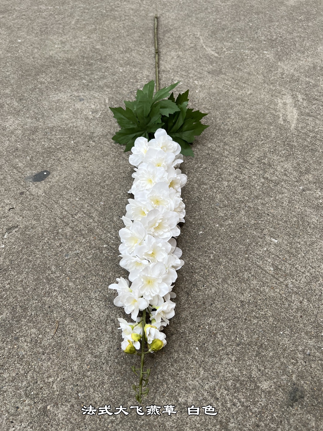 微信图片_20220307113351_副本