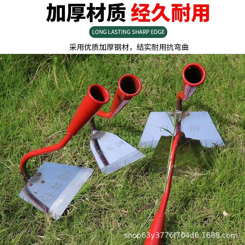 微信图片_202504081356123.jpg