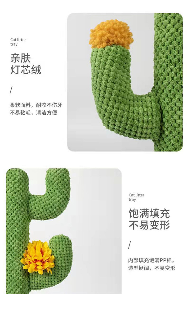 仙人掌_05.jpg