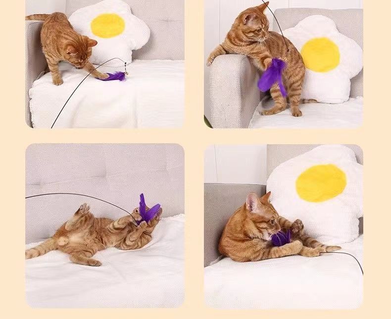 c242f8d1-13a3-47b3-850d-b03ac49c5a86.jpe