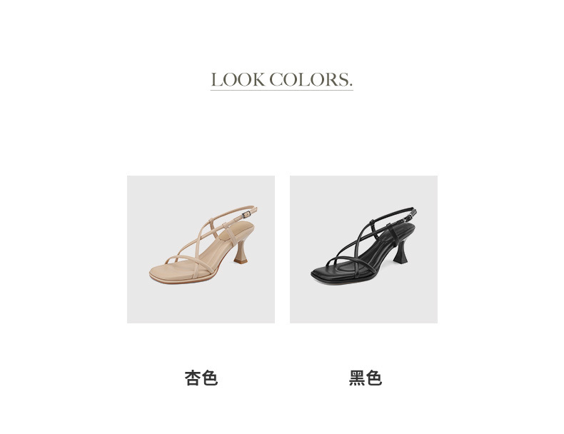 5.jpg?x-oss-process=image/format,png
