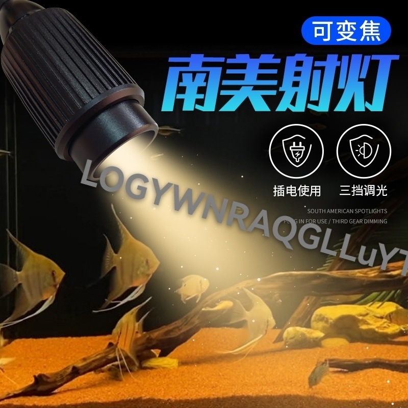 da9b7f06-236a-49b2-b8cc-42f243867385.jpe