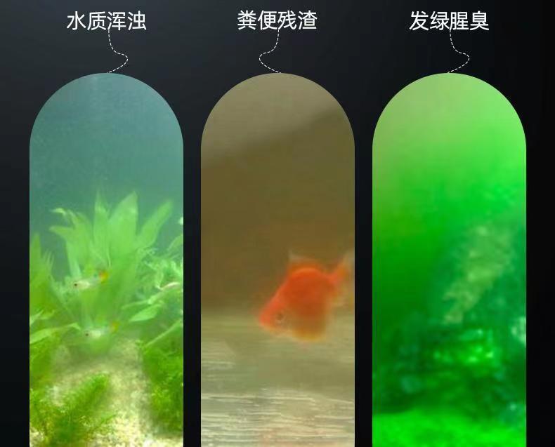 f37ce9c4-cf4e-4f50-995b-faf67ab45f25.jpe