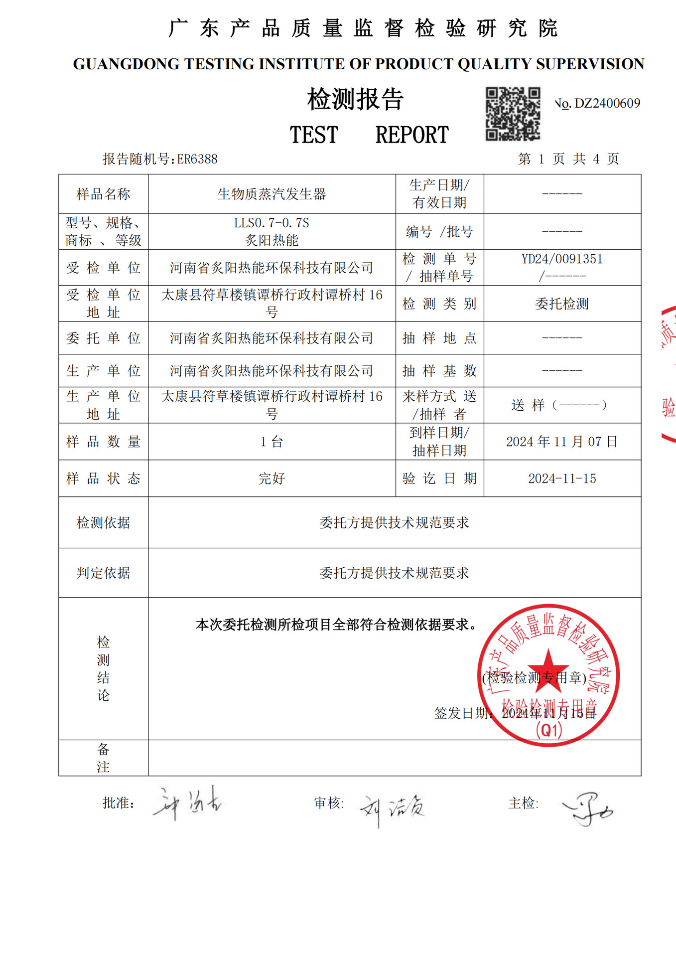 生物质蒸汽发生器检验报告