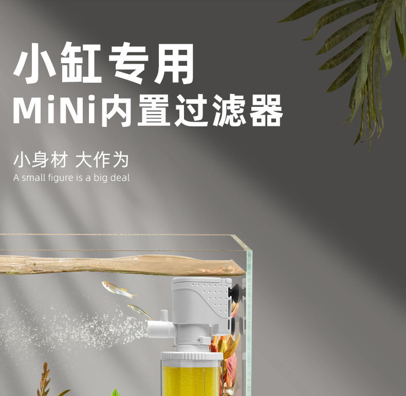 20cab8ff-90f9-445d-b7ae-4b861d388009.jpe