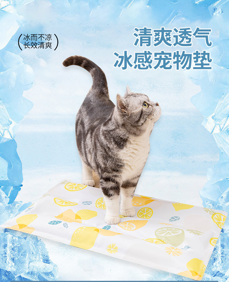 94f66064-04ae-4acc-965a-6abda8861d00.jpe