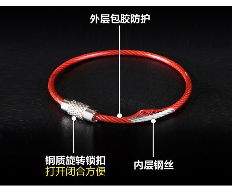 IMG_5420(20241120-121552)