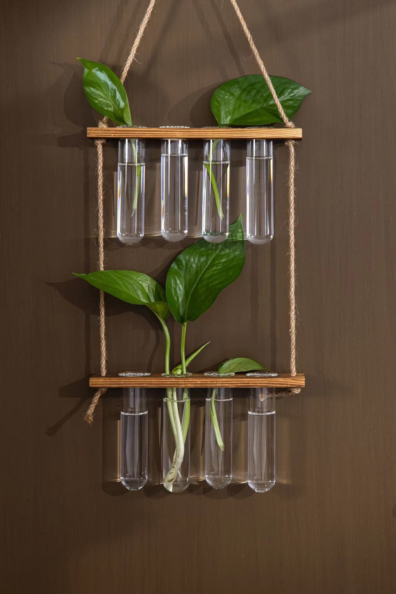 微信图片_20230728153900_1