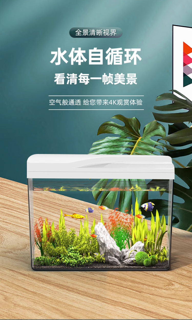 5b562787-d578-4b91-bd87-be1641b88d83.jpe