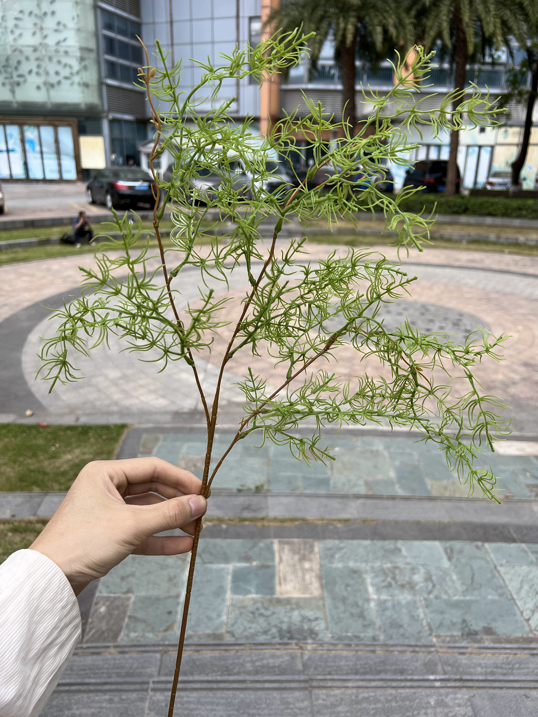 微信图片_20230419162632