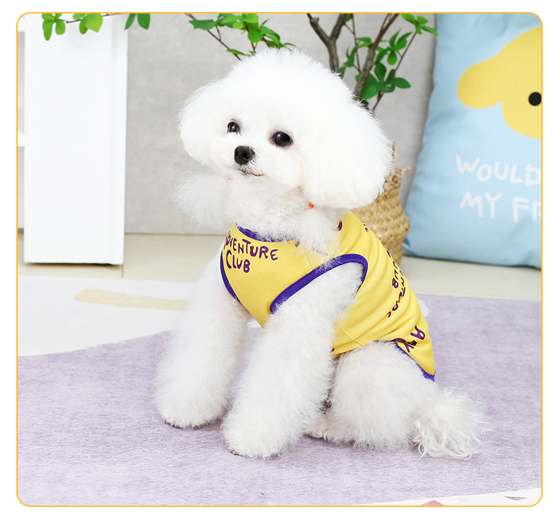 23快乐狮子背心