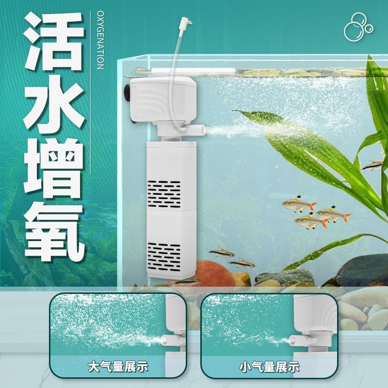 e29348cc-d5c4-44eb-ba40-22e1b452d9b5.jpe