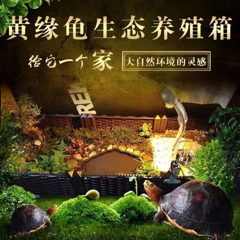 232de1ec-5764-4bed-b7d2-9f18a65e2594.jpe