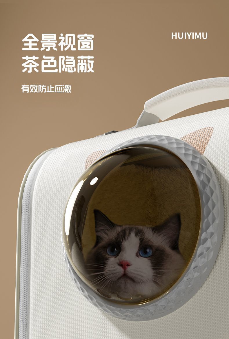 e1ed007a-a781-4296-b7ff-269315257cf9.jpe