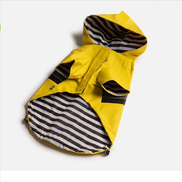 微信图片_20241005224446