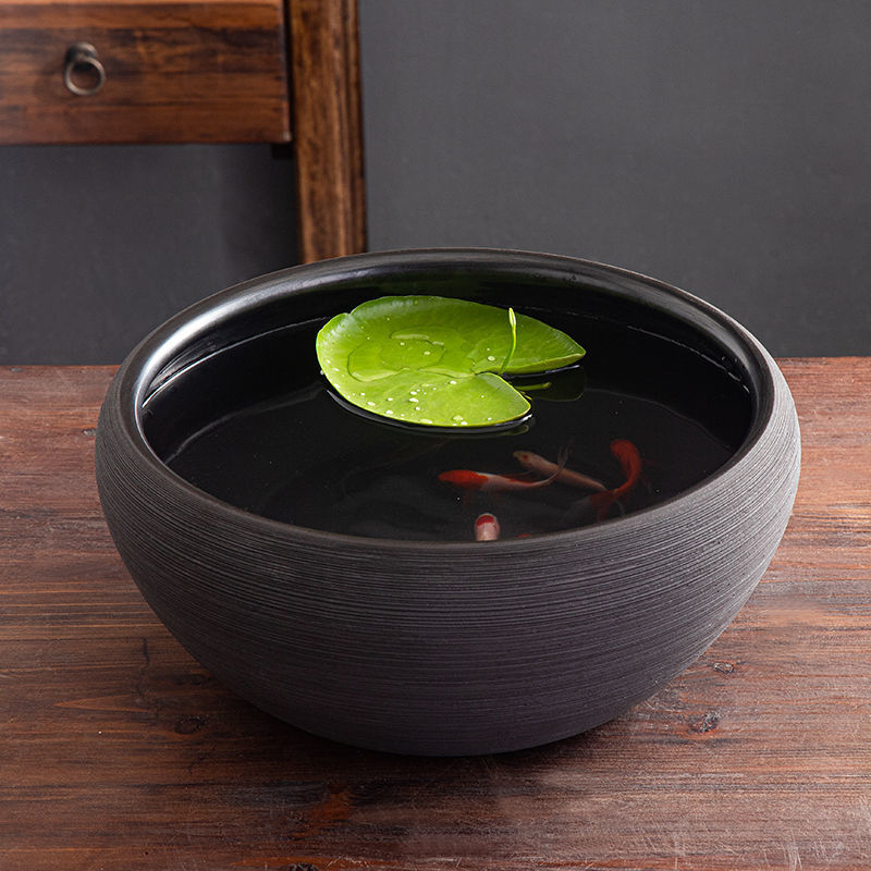 1d95b502-7719-4bdc-9b4b-c62fe63356ab.jpe