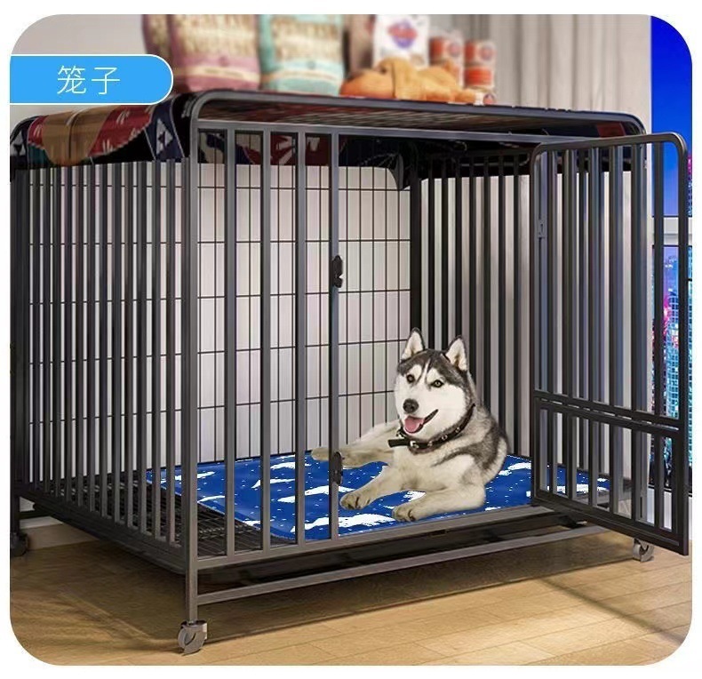 6e7e2fba-77e3-41bd-9b19-2c9c19000be7.jpe