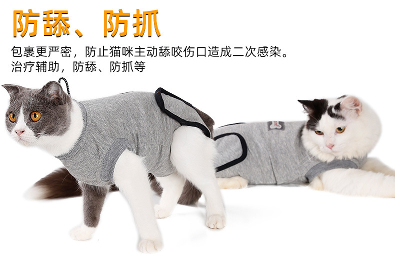 PC60027手术恢复猫服_04.jpg