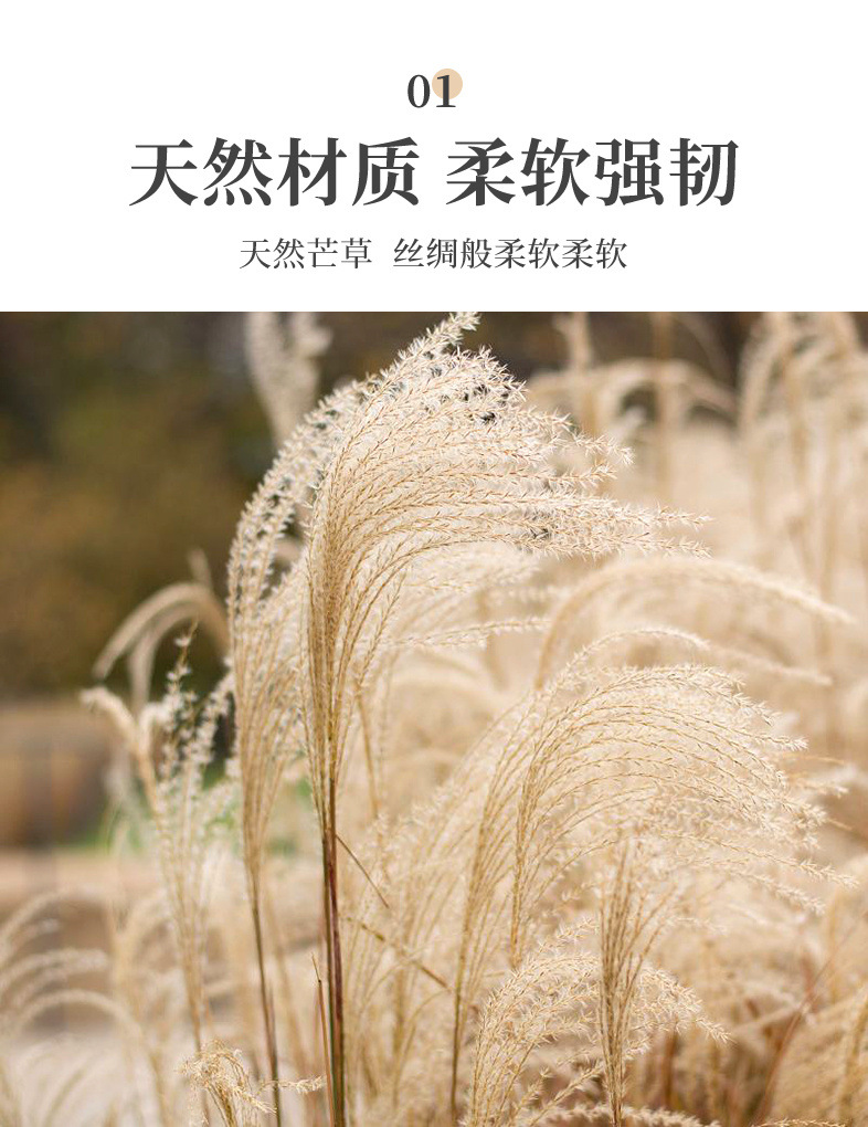 92106bc8-f97f-49b3-856d-474af6e8dfaa.jpe