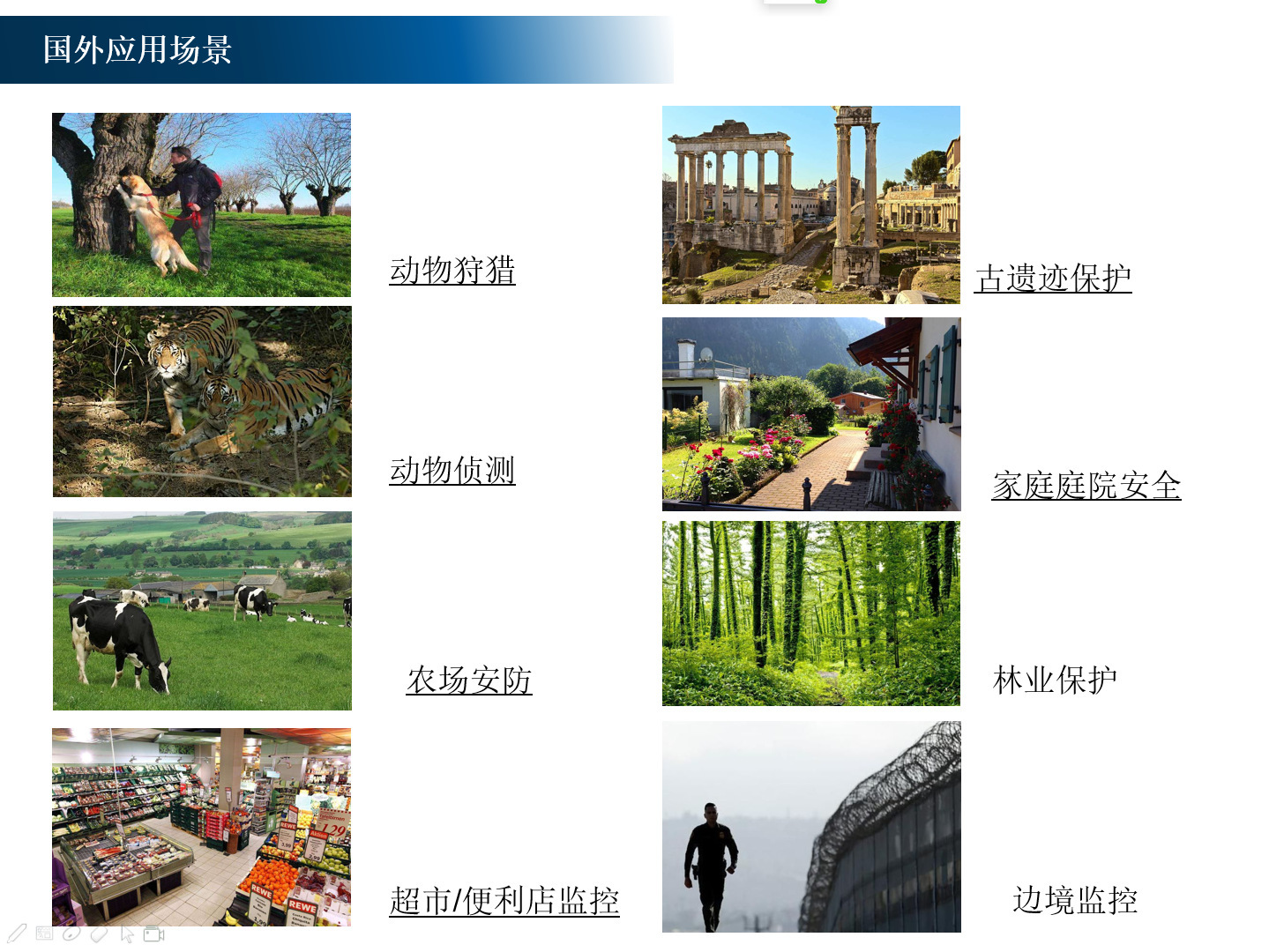 13331653401_365813220