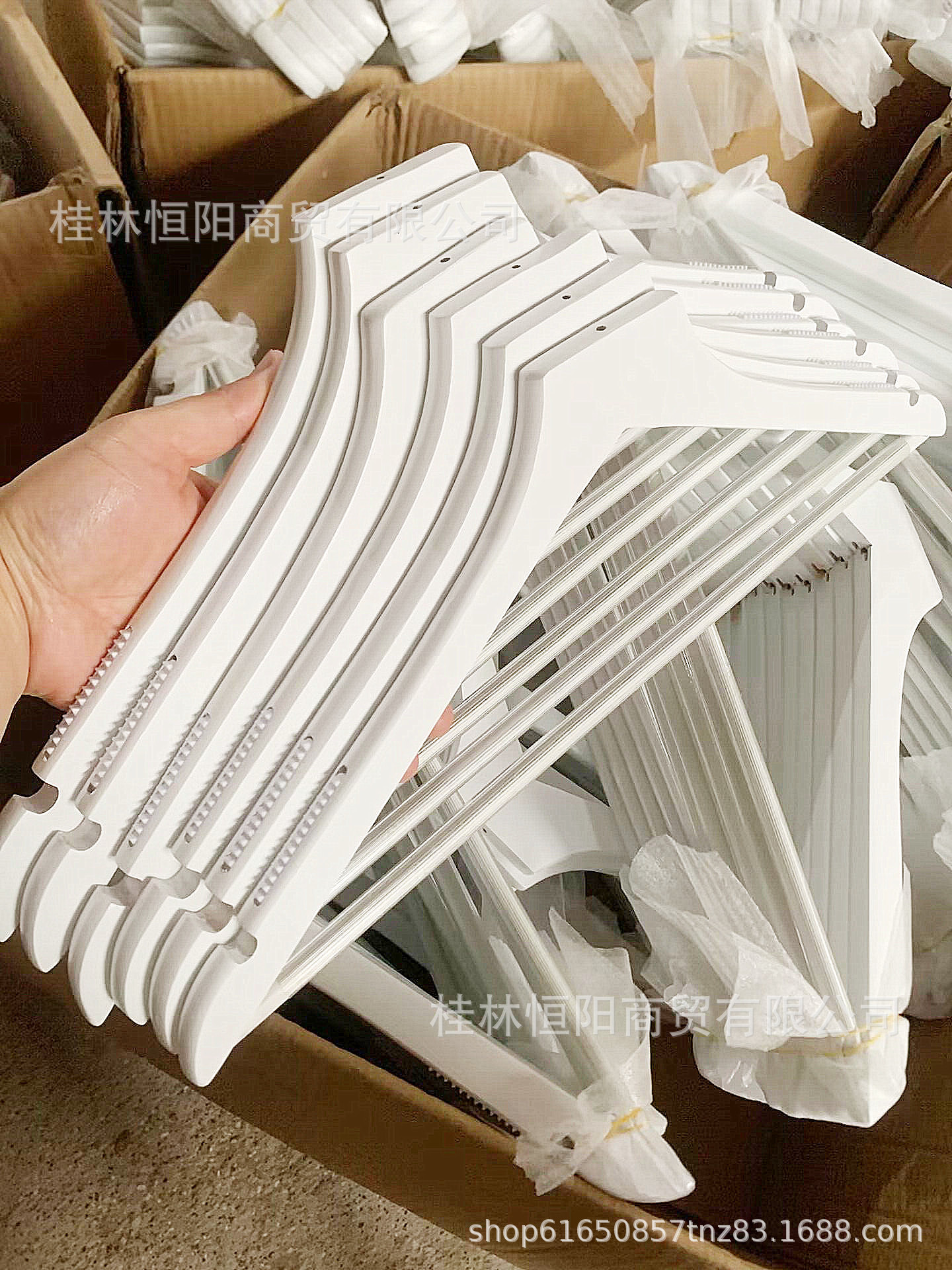 QQ图片20230611125334