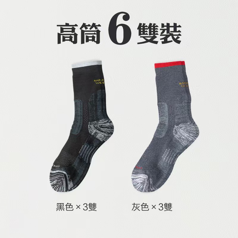 图片_20250323140055