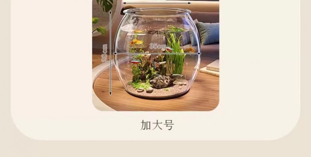 876ca0b0-7d34-4b17-8f9e-444695b9b719.jpe