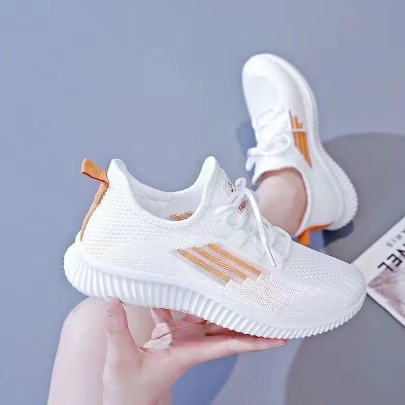 微信图片_202405171432154.jpg
