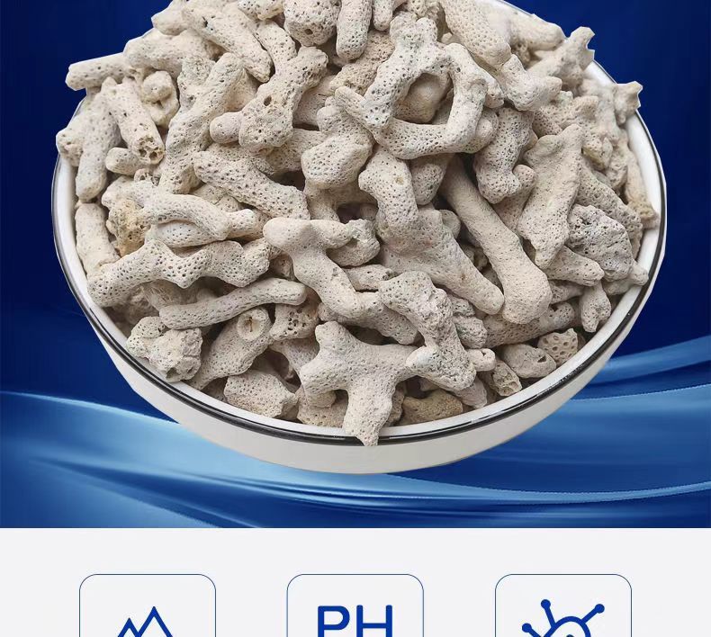 b248f7a7-bf68-4082-9141-bb3d9c6186bb.jpe