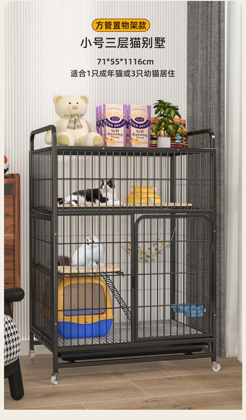 c9019bca-0cec-4176-b39b-98c017a231ff.jpe