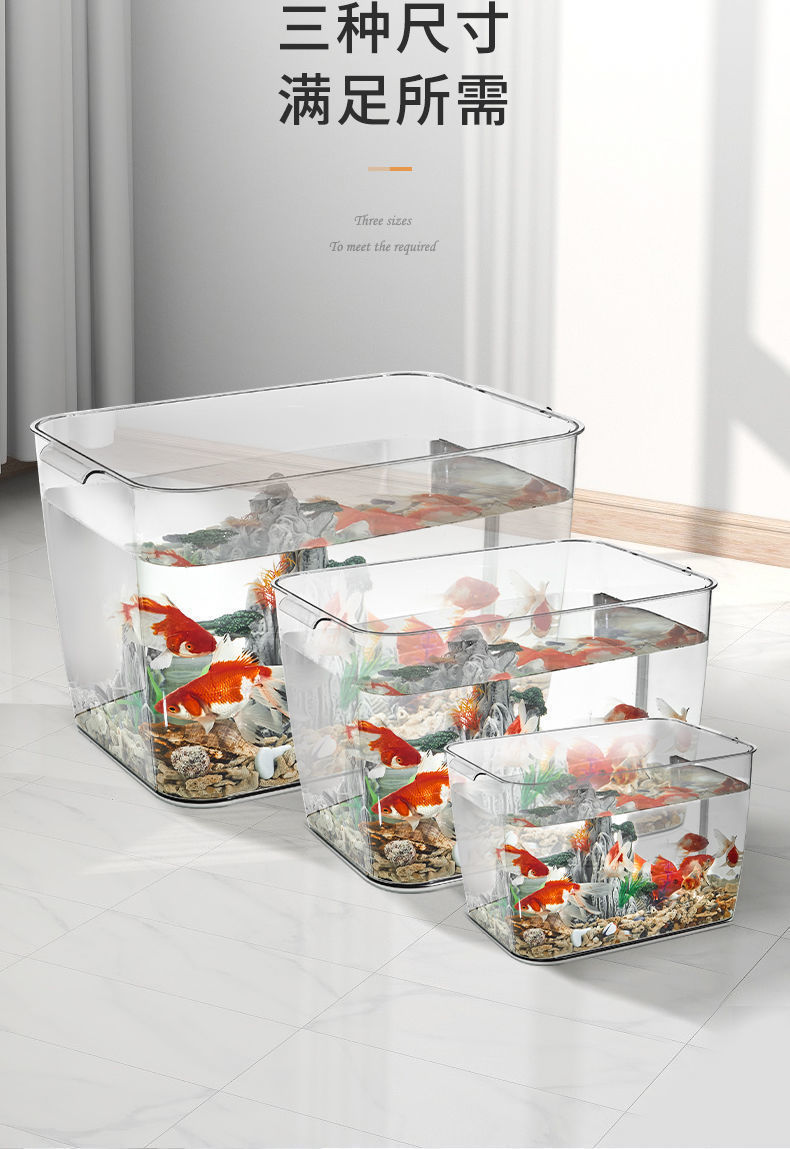 f6aa20e9-e9c8-4c52-ba85-a5487b7b87e2.jpe