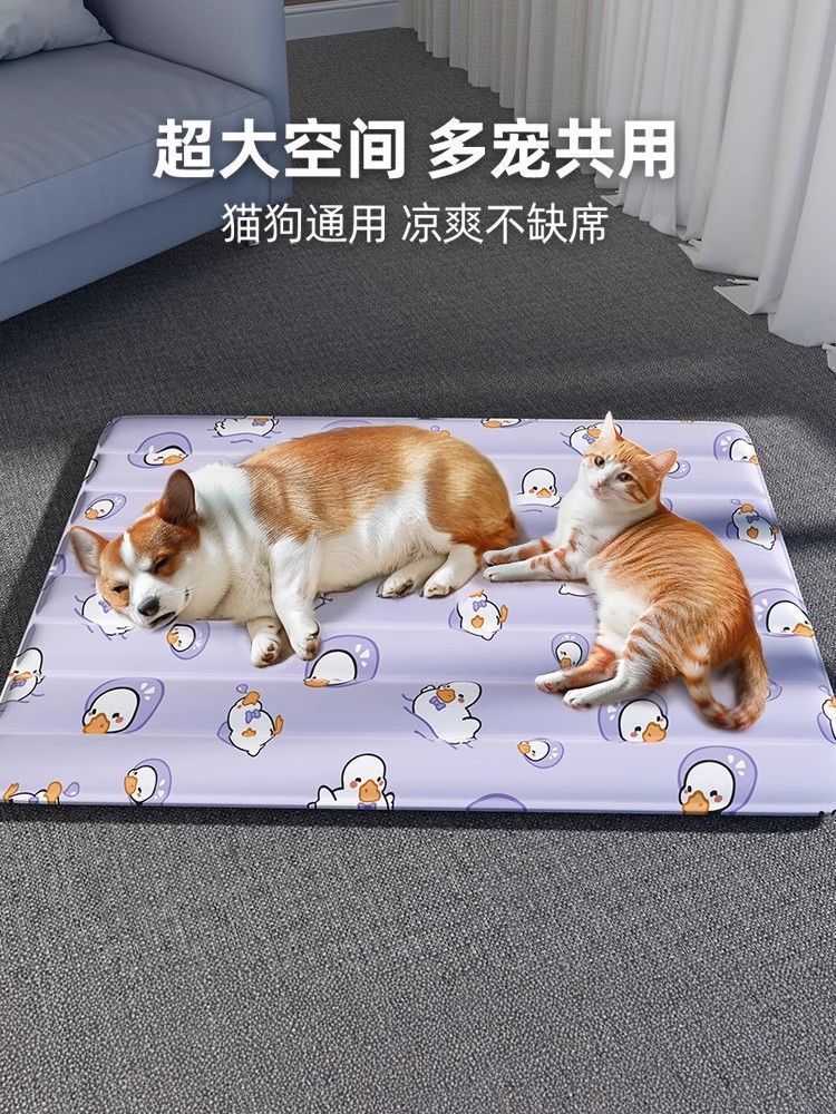 734903b4-c2b3-438b-b5c6-5f1eb25d3600.jpe