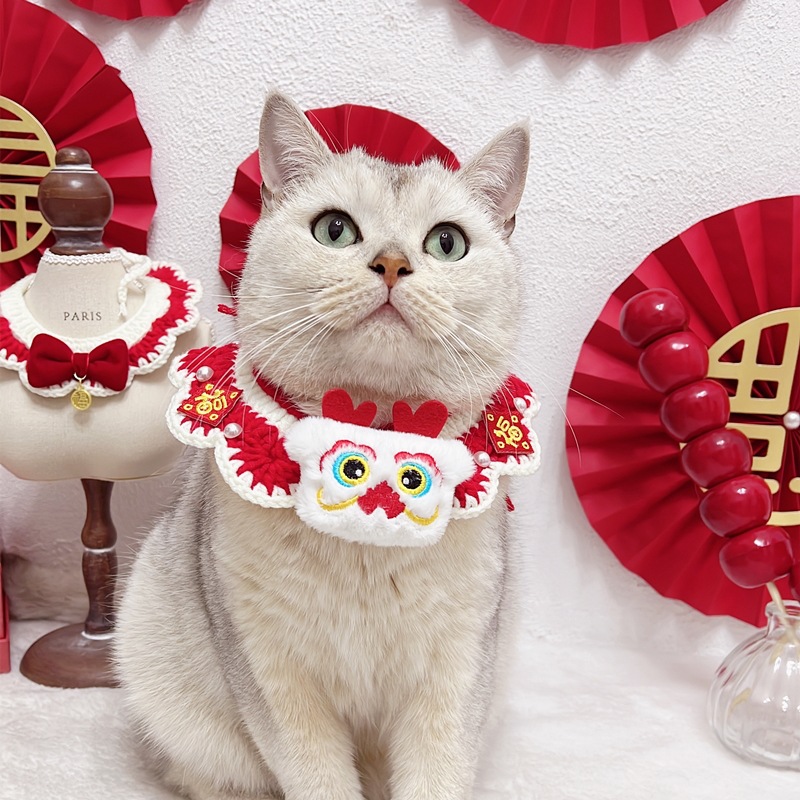 IMG_7696(20231103-232852)_副本