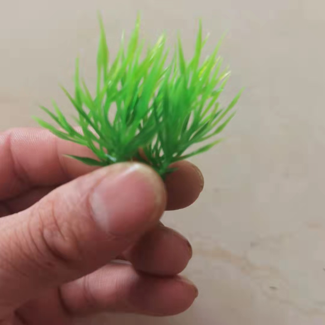 图片_20210916140819