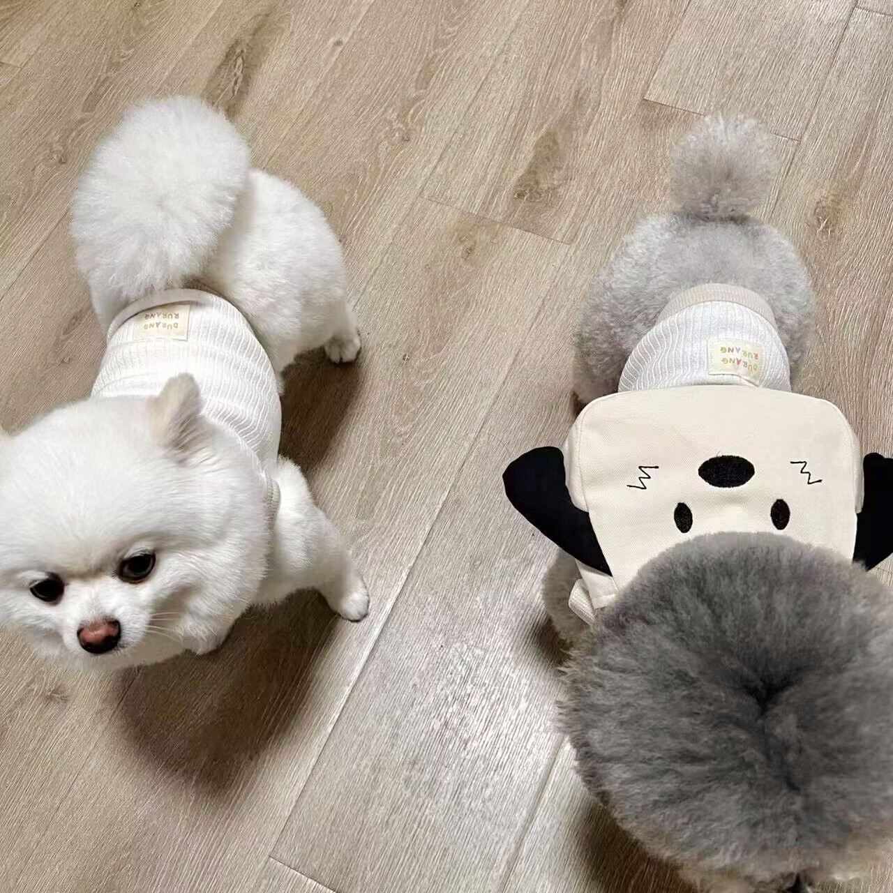 QQ图片20230524103959