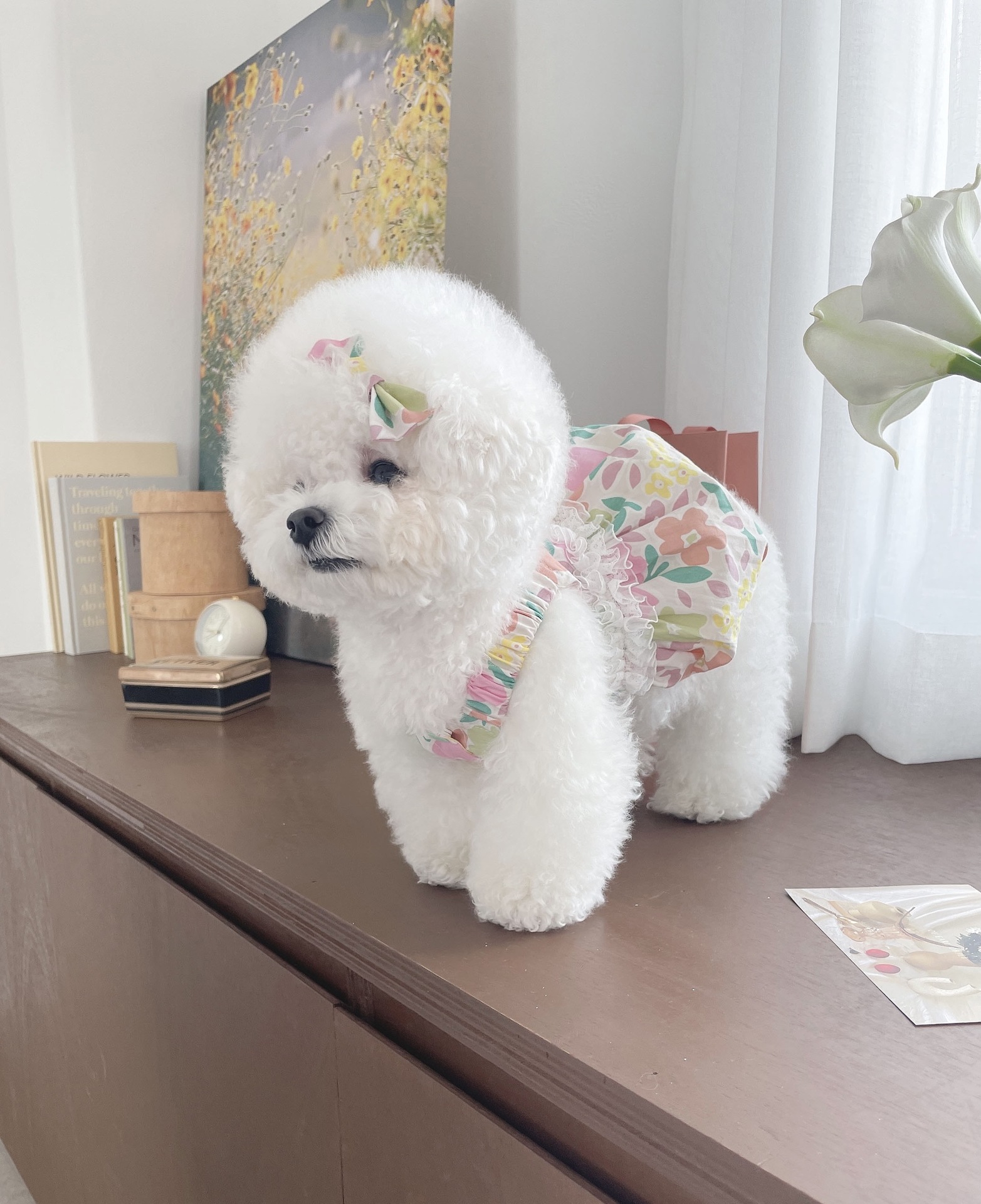 KakaoTalk_20210504_133333390_2