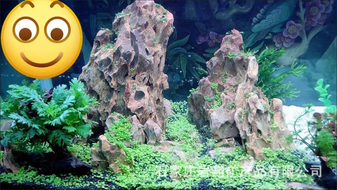 915d9b91e346da5562655d2461f006