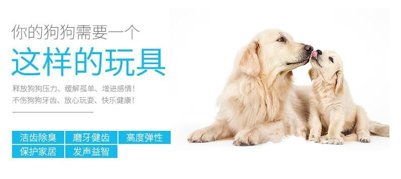 13591857964_1391852974 - 副本