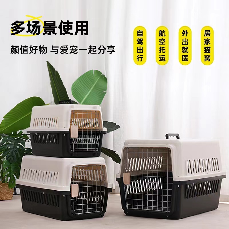 21c300ff-54c6-457e-a740-ff9d3a12d27f.jpe