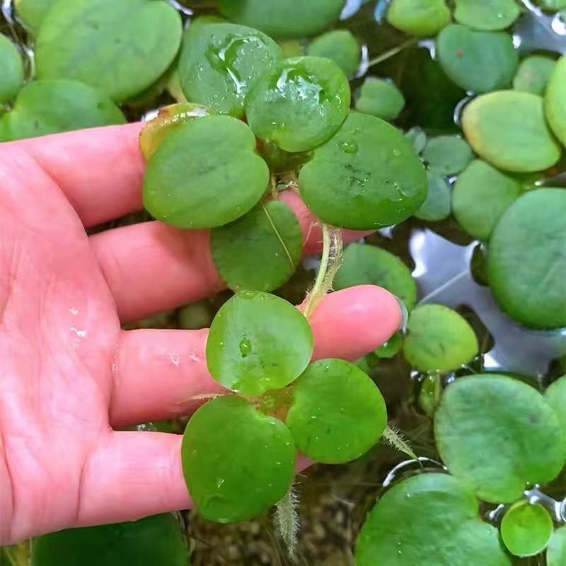 47ccc2b9-08e3-4694-a0be-0b52332667be.jpe