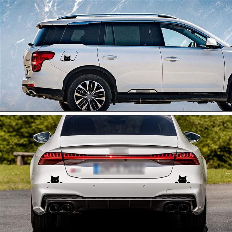 81v-ZpGalNL._AC_SL1500_