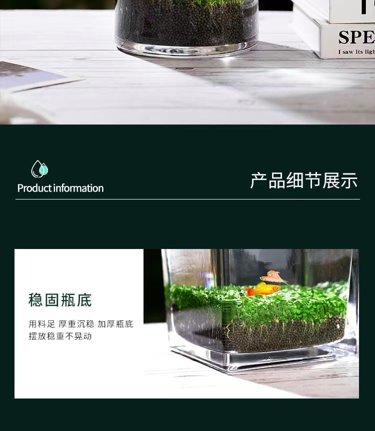 46e2f2ad-f6b3-49e2-a92a-2da14a1fe36c.jpe