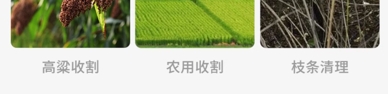 详情_006.jpg