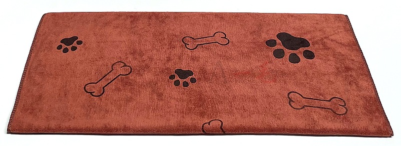 不同颜色独立拍照