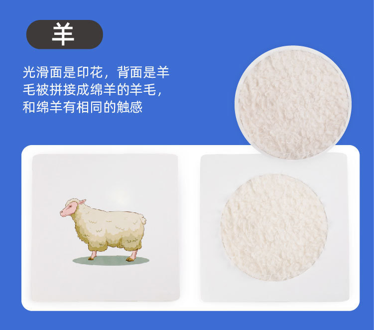 触摸纹理_09