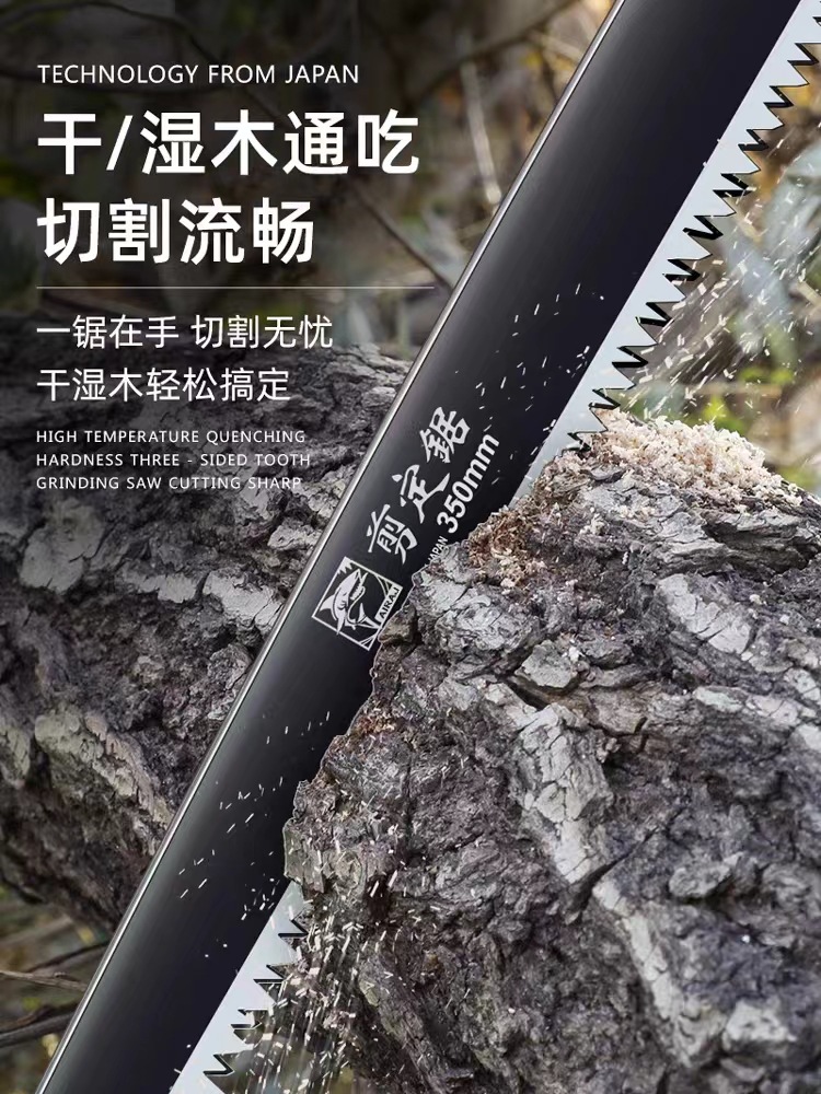 微信图片_20230616123921