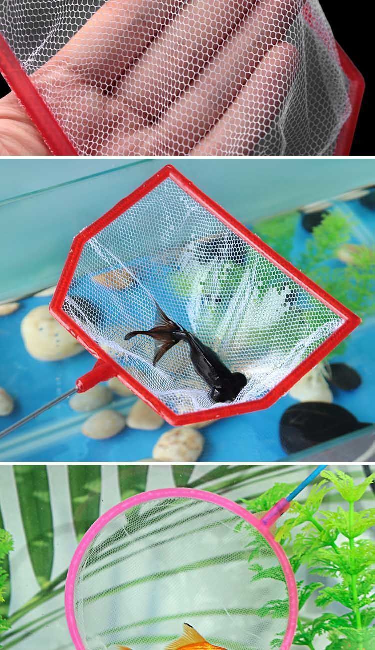 666cc4c4-2ff5-44b9-a06f-db70f307b39e.jpe