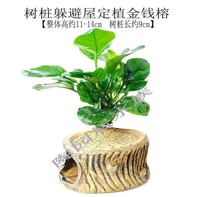 2752d298-0aee-4a51-bf91-d0158a73b189.jpe