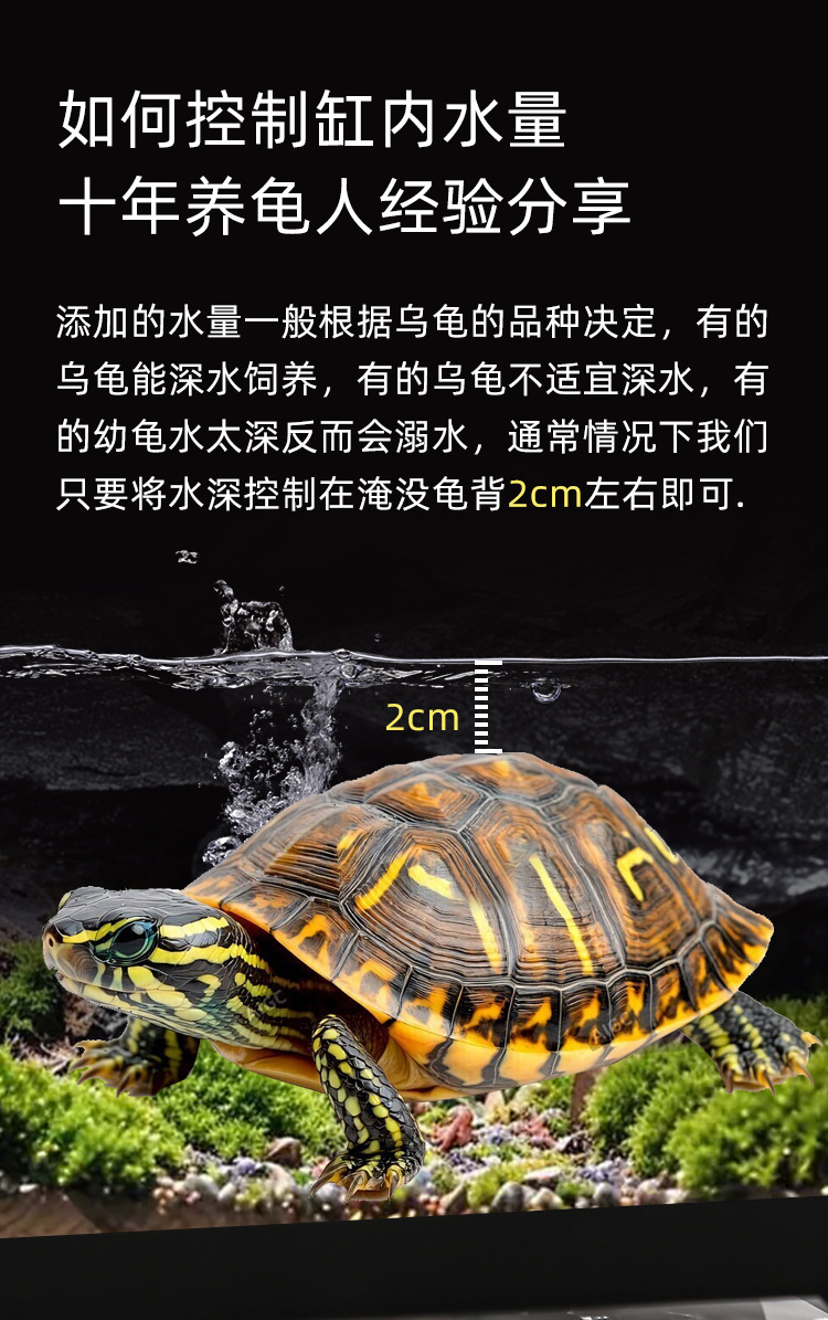 详情页_04.jpg