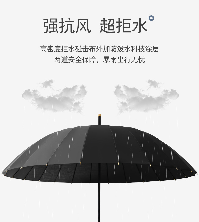 智贝下图_12.png